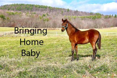 Bringing Home Baby