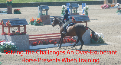Solving the Challenges An Over-Exuberant Horse Presents When Training